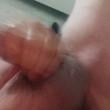
Adoro goza gostoso