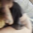 Mídia de ratinho185