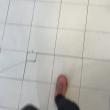 Mídia de renato___507