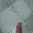 rhuanbrvsd