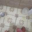 Mídia de ricardo_795