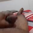 robeto4240