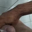 Mídia de safadao_4594