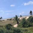 Mídia de safado5649_9920