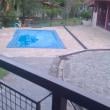 Mídia de safado69_68