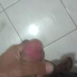 safado_2261_26