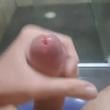 Mídia de safado_sbc_