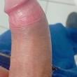 safadoam25