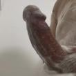 Mídia de safadoembu18cm