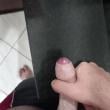 Mídia de safadolim_1606
