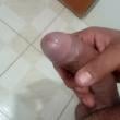 Mídia de safadoreri_4518