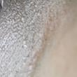 safadoseleela0818