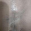 Mídia de santos_6934