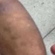 Mídia de sempena_8153