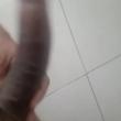 Mídia de seu_amig000