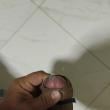 Mídia de seuchico1098
