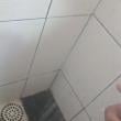 Mídia de sexoavera