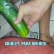 Mídia de shirleysuacdzinha