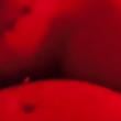 
Sexo maravilhoso com a ami...