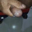 soddee
