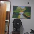 solteirocheiotesao
