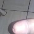 ss4191