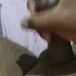 
Quem aí gosta de leitinho