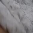Mídia de tantrico696