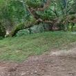 
Hoje conheci um lugar alea...