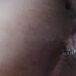 tigresaluh2