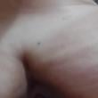 tigresaluh2