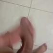 trezemoc
