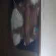
Amo um Gordelicia