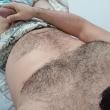 Mídia de urso_rolaveiuda