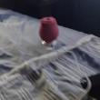 Mídia de viciadoemcasadas010
