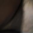 virada