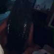 Mídia de ylmika22