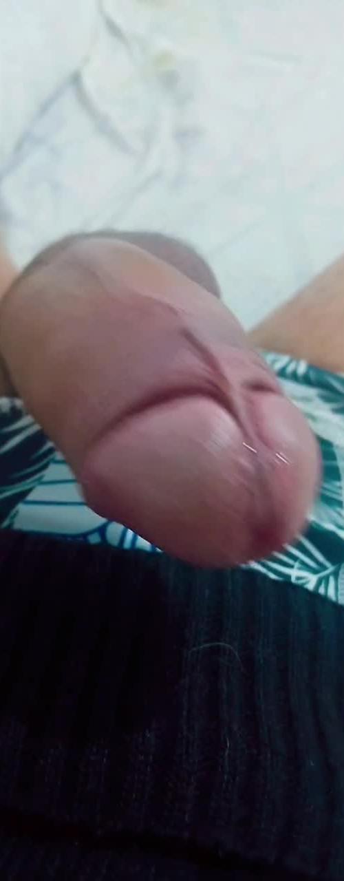 Mídia de adaes