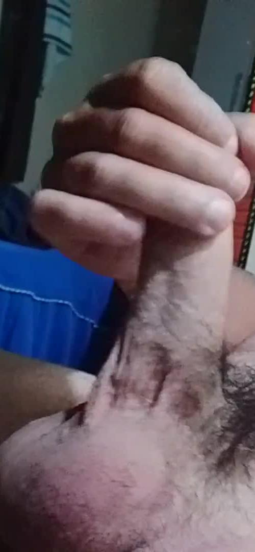 Mídia de alagoanobr33
