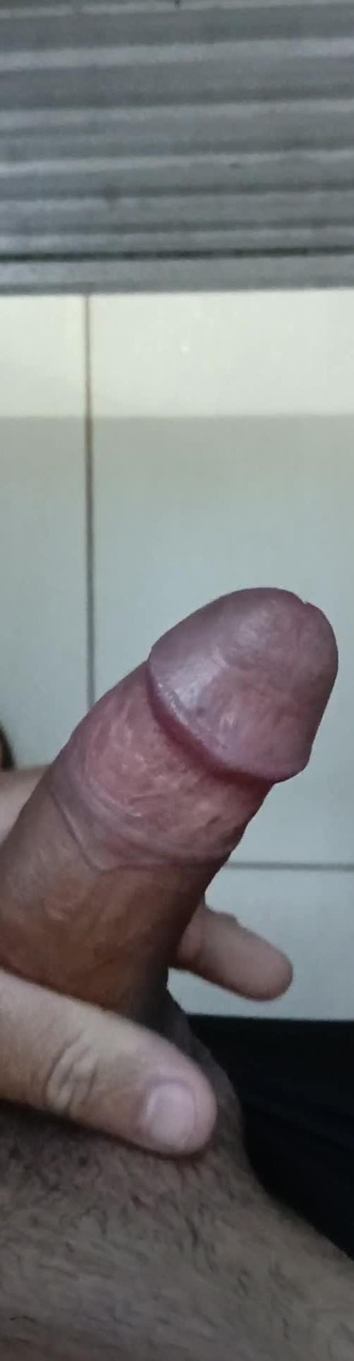 Mídia de ariano0092
