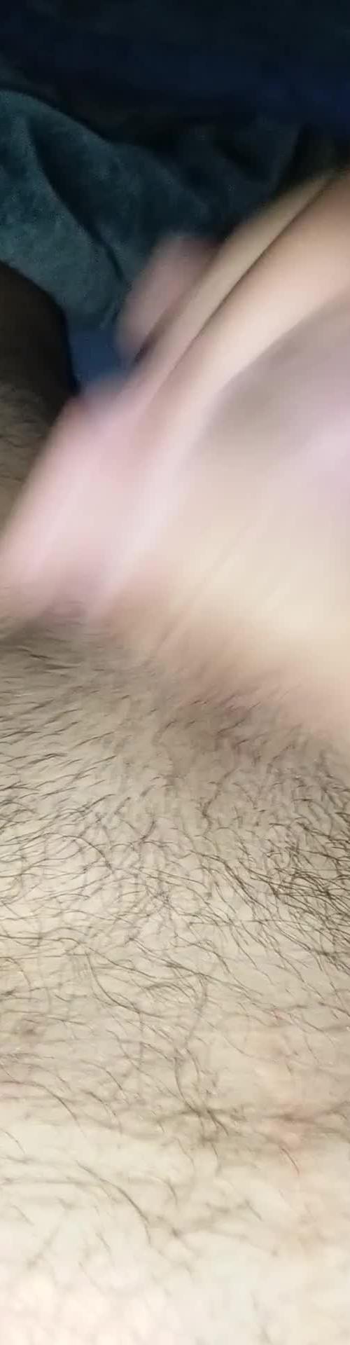 Mídia de arianofragata