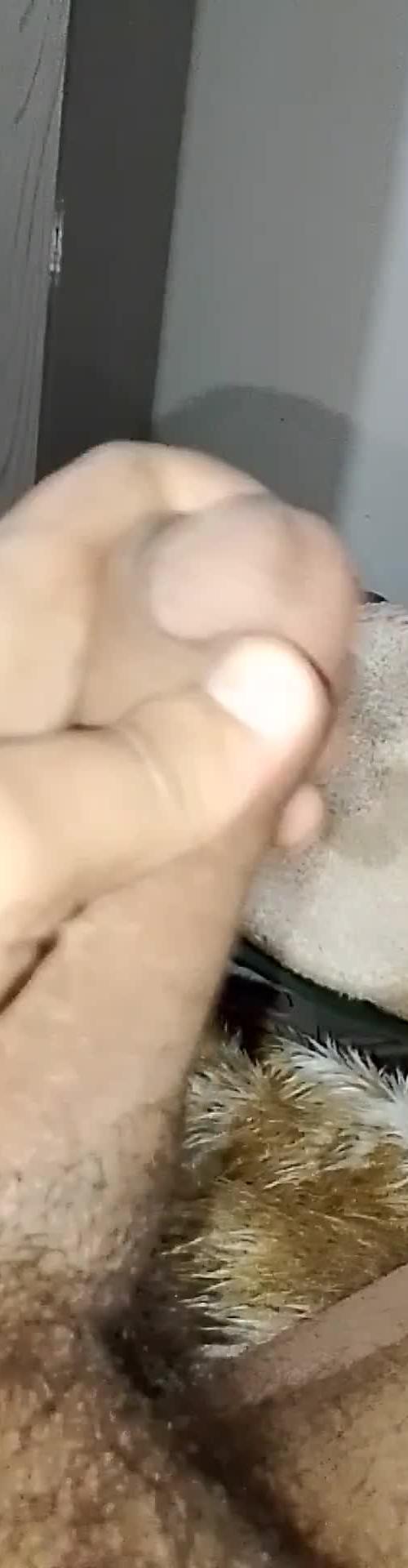 Mídia de atvvi29