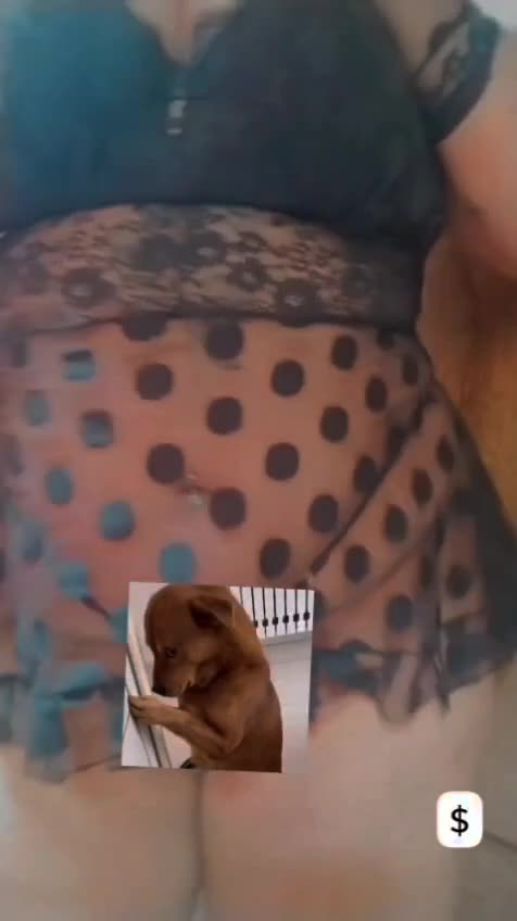 Mídia de bbw1997