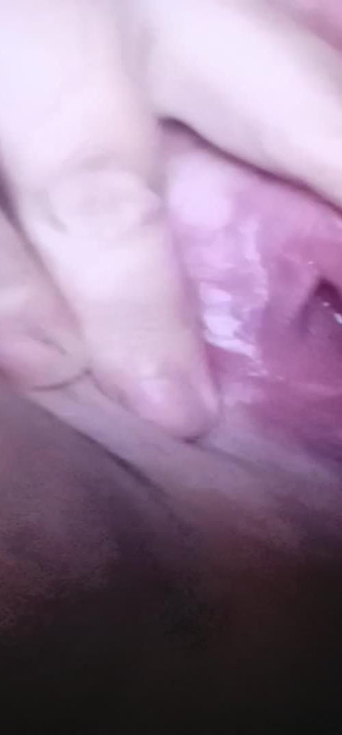 Mídia de borboleta08