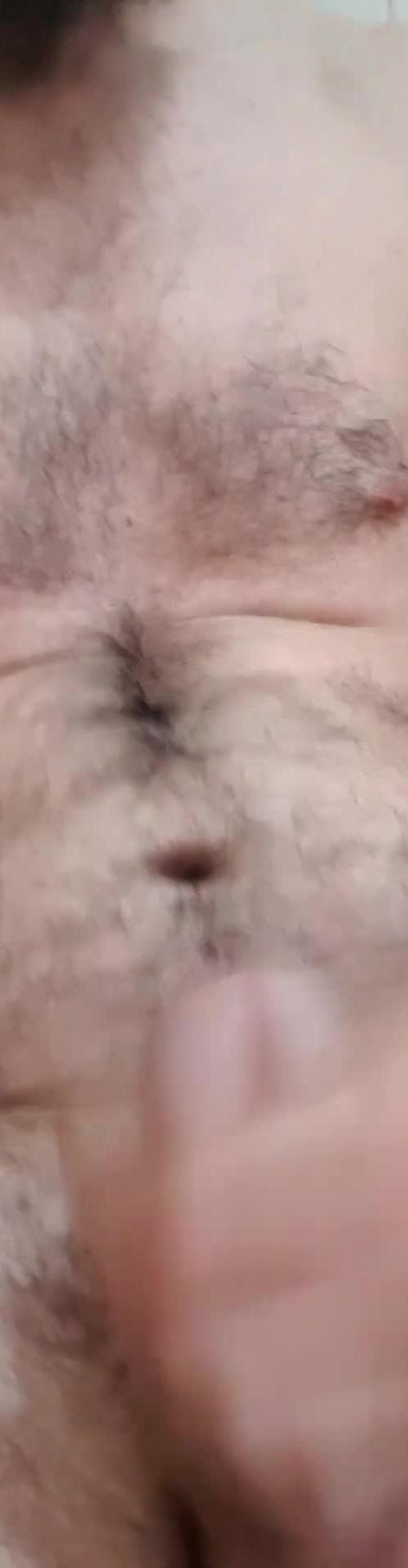 Mídia de brunosafadocachorro
