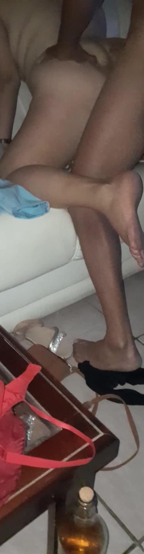 Mídia de canisdingo