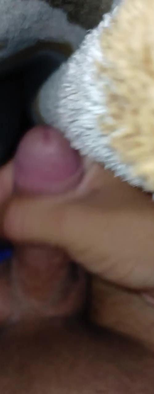 Mídia de carloscumbica
