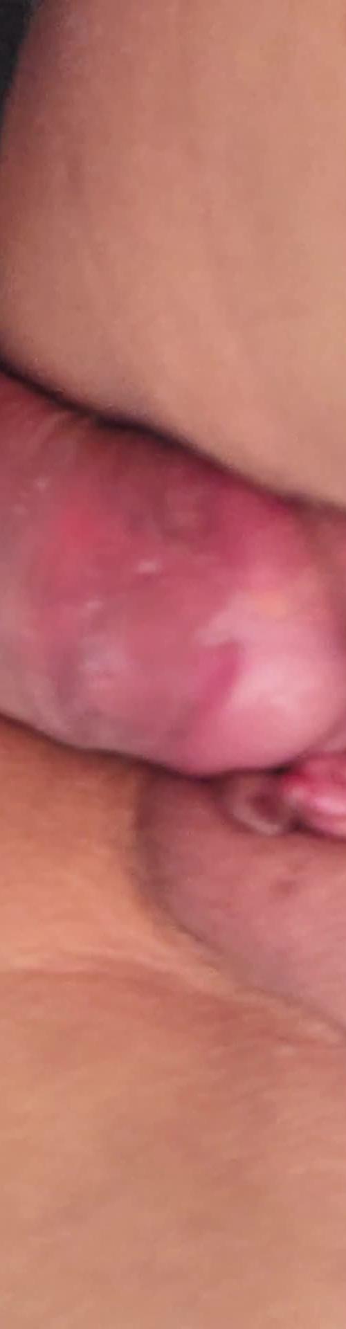Mídia de carvajalpica
