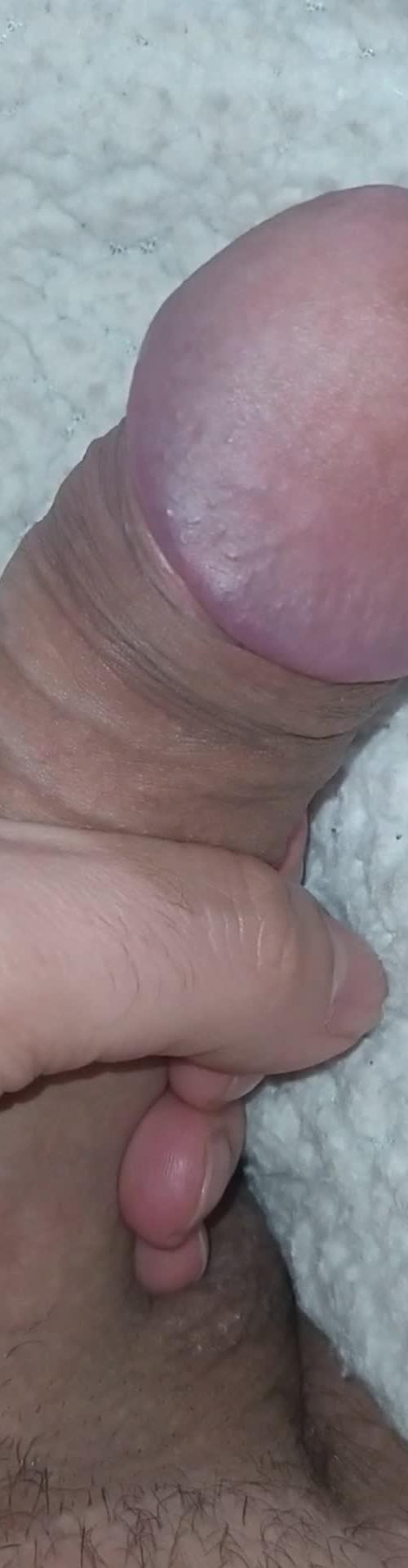 Mídia de casalcurioso_2919