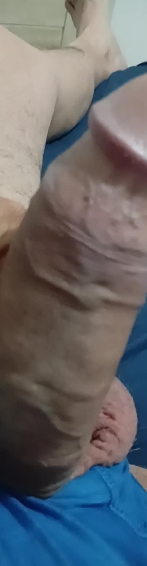 Mídia de casaljm9570